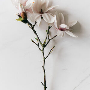 home new arrivals02